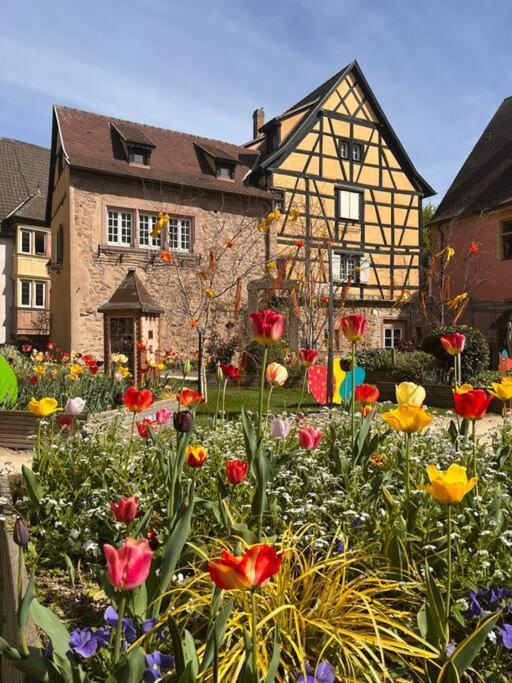 Apartamento La Douce Escale Turckheim Exterior foto