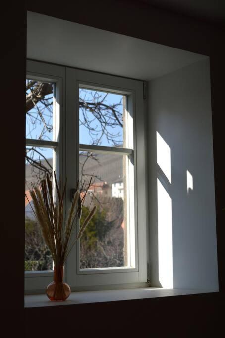 Apartamento La Douce Escale Turckheim Exterior foto